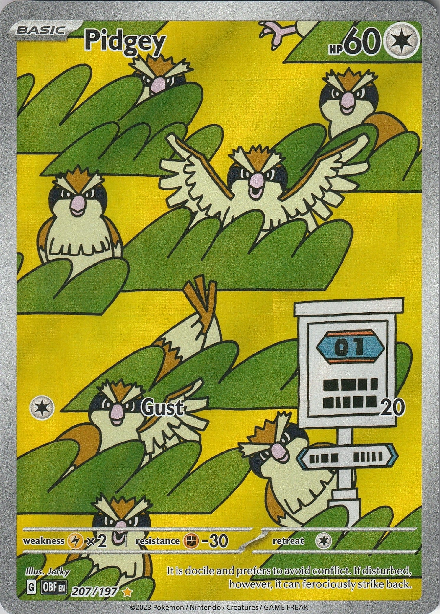 Pokemon TCG Pidgey 207/197 Obsidian Flames Illustration Rare Near Mint 2023 Chrispy Collectables UK