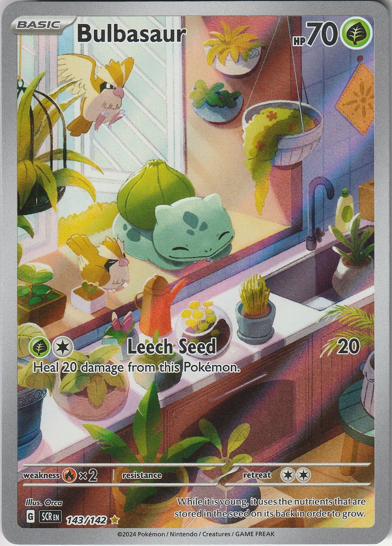 Pokemon TCG Bulbasaur 143/142 Stella Crown Illustration Rare Holo NM Chrispy Collectables UK