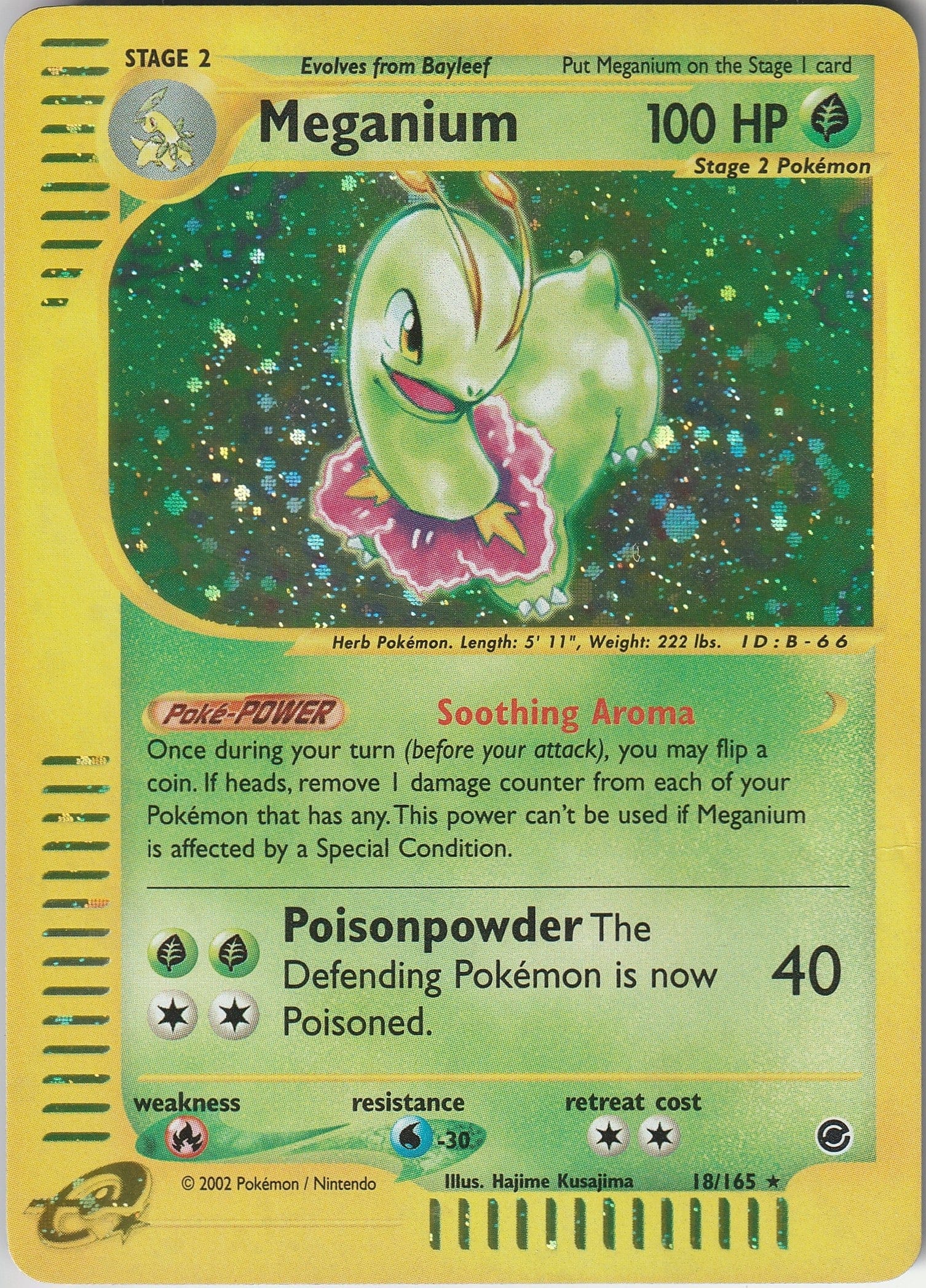 Pokemon TCG Meganium Holo Rare 18/165 Expedition Base Set WOTC Vintage 2002 NM Chrispy Collectables UK